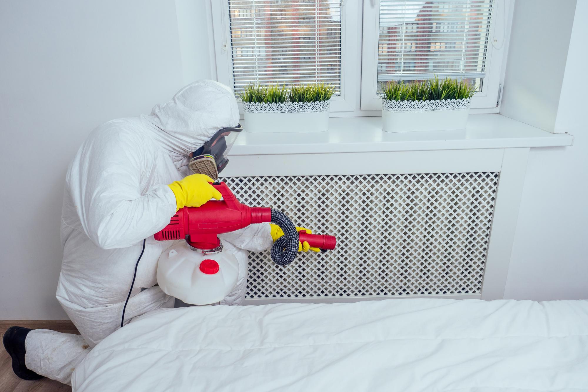 Bed Bug Elimination Service in Dallas