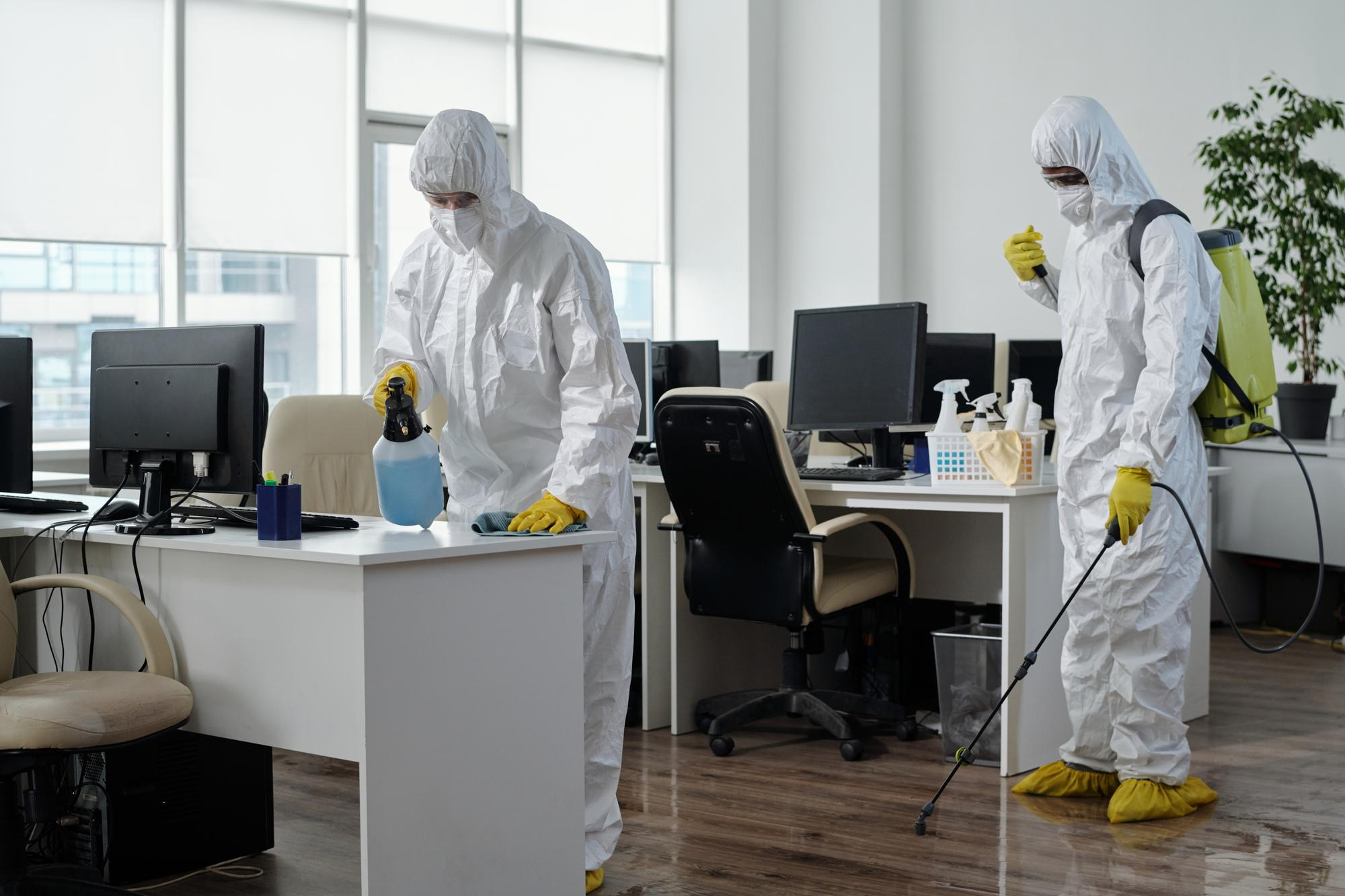 Commercial pest control service in Dallas