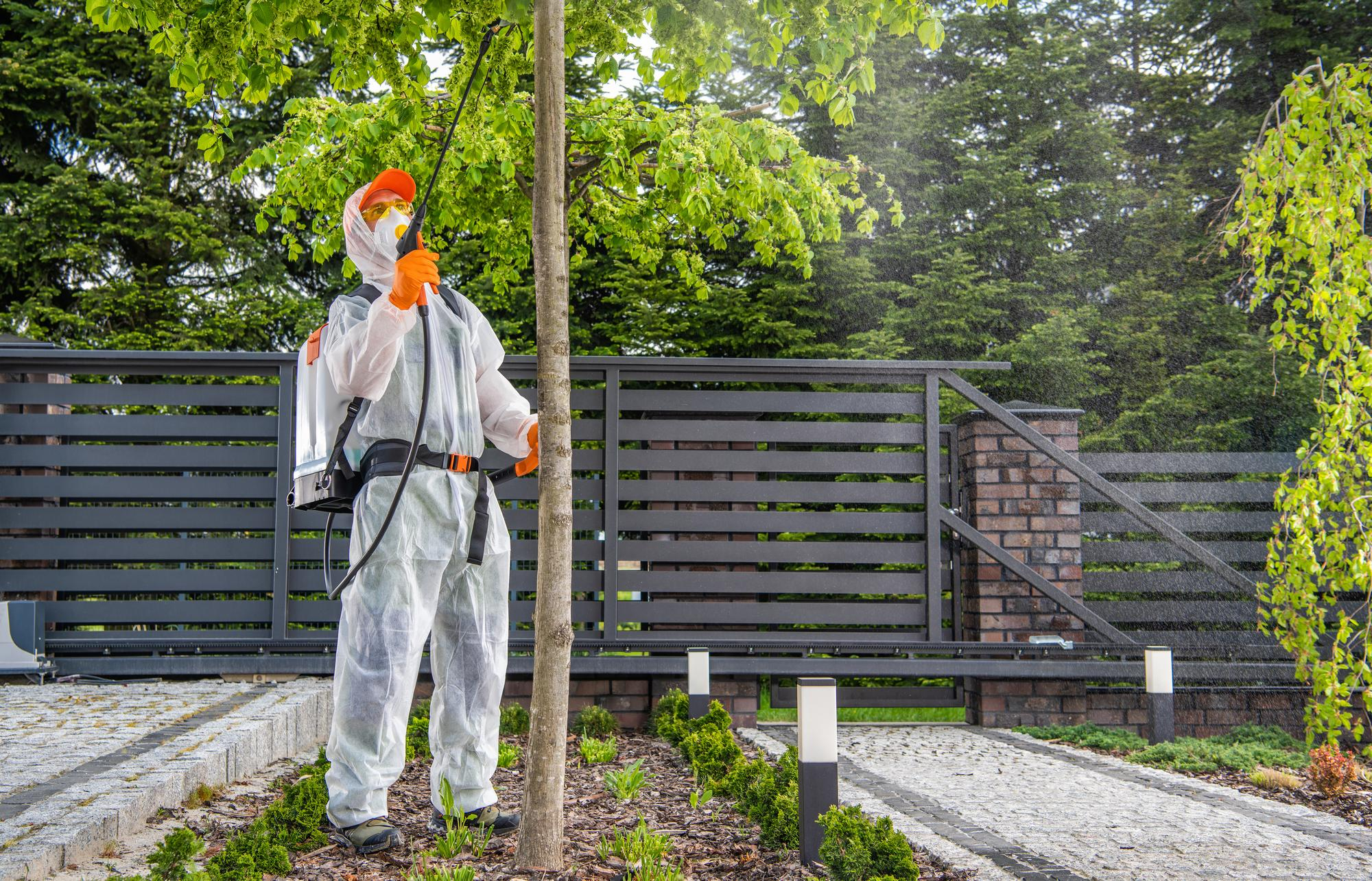 Eco-friendly pest control service in Dallas