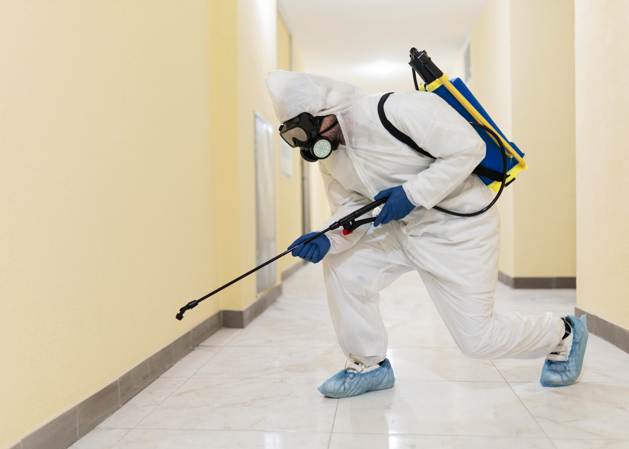 Commercial pest control for offices, restaurants, warehouses