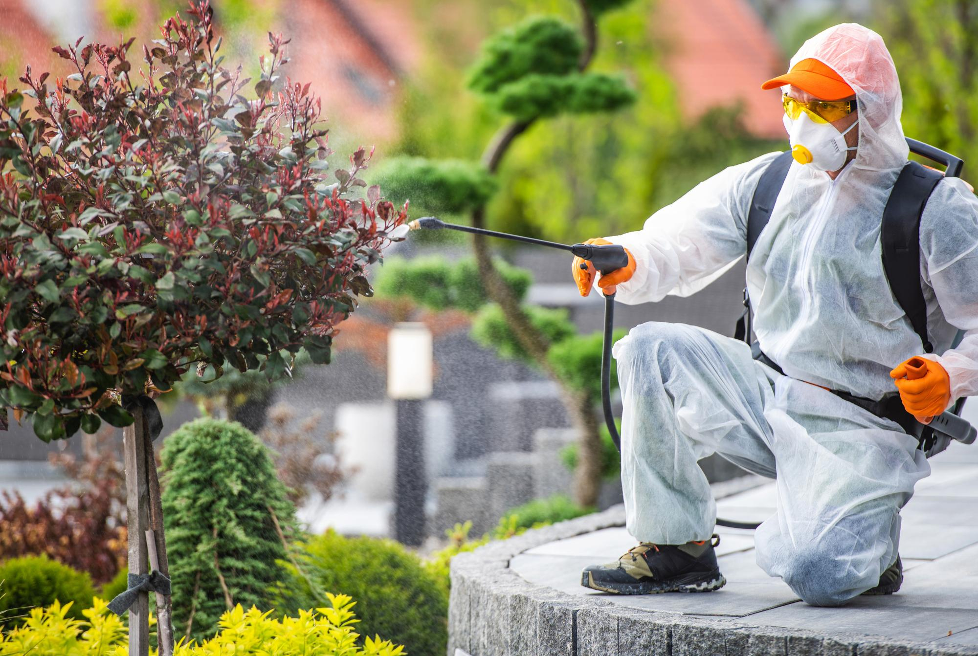 Eco-friendly pest control - safe for families and pets