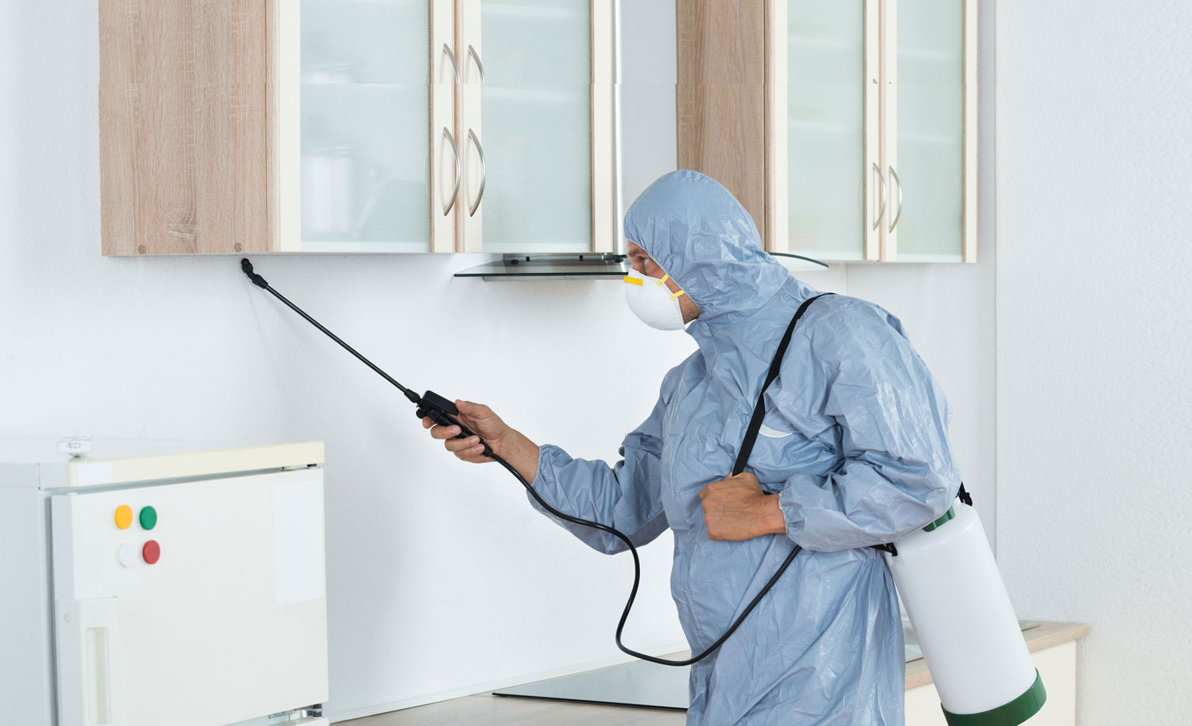 Residential and commercial pest control Dallas - termite and rodent control