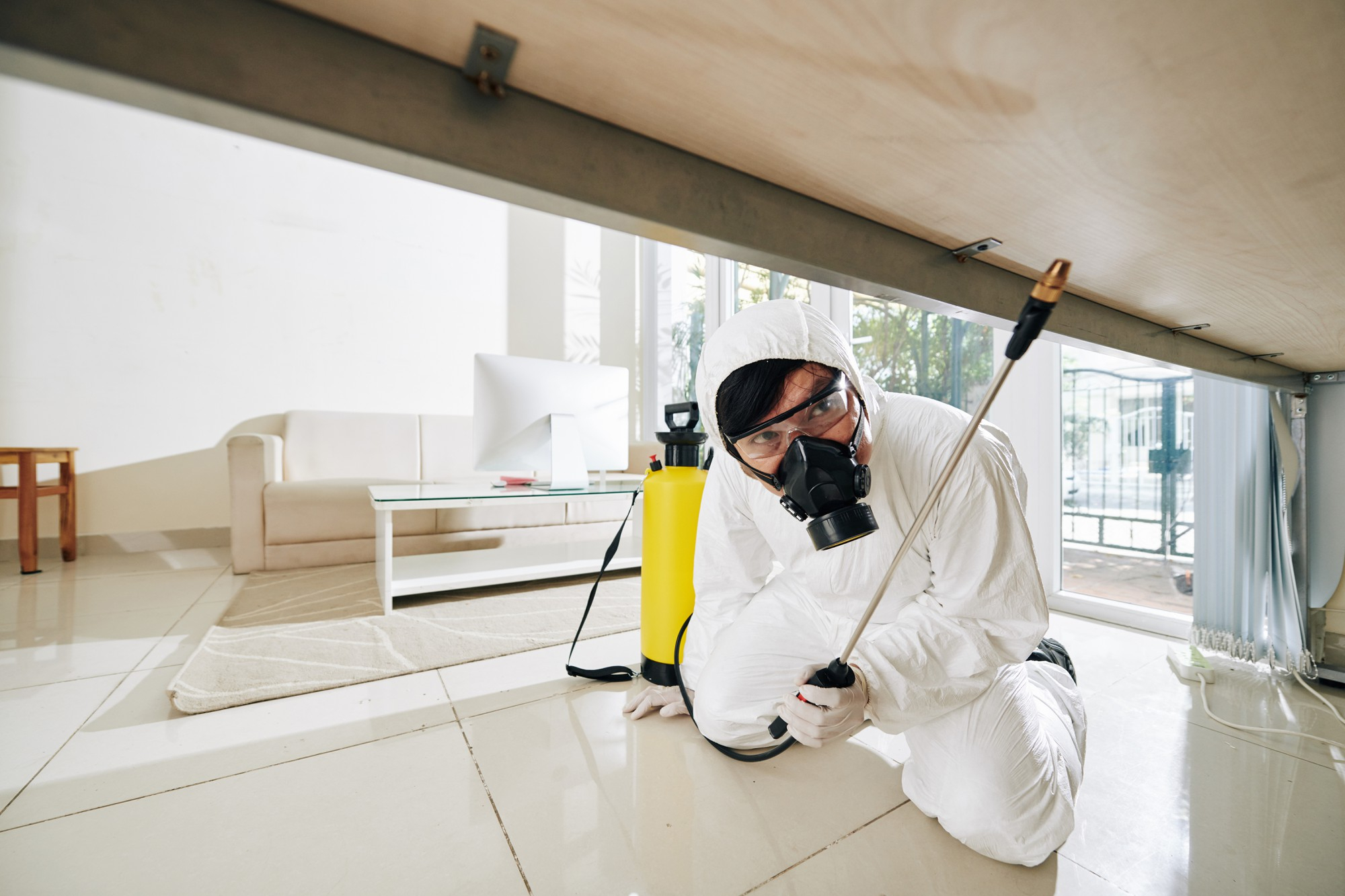 Residential pest control for homeowners - safe treatments for ants, cockroaches, termites